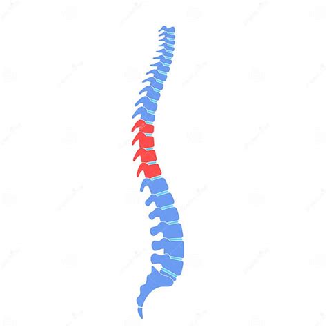 Human Spine Pain Vector Illustration Stock Vector Illustration Of