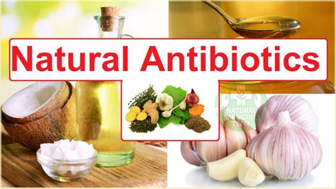 Top 10 Natural Antibiotics To Try At Home Top Natural Remedy