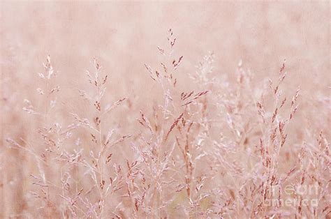 Pastel Nature Photograph By Svetlana Sewell Fine Art America