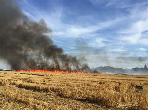 Large Field Fire In North Keizer Threatens Several Homes Keizer Fire