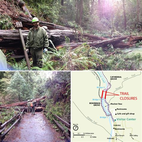 Muir Woods Closed For Third Time In Two Weeks Due To Fallen Trees Sfgate