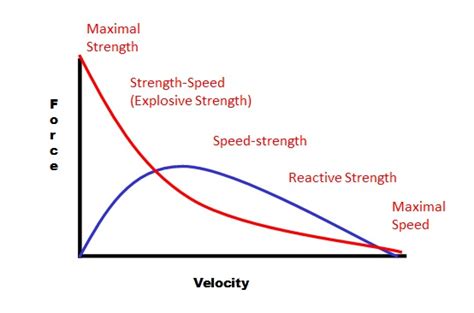 Applying Sport Science And The Force Velocity Relationship To Tennis