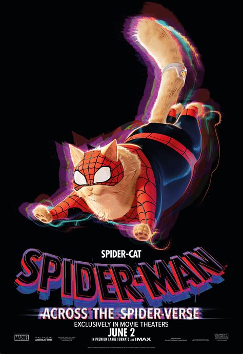 Spider Cat Spider Man Across The Spider Verse Character Poster