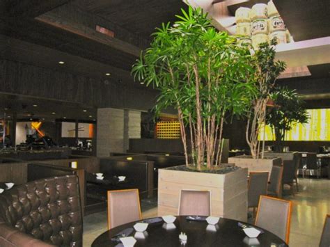 Genji Japanese Steakhouse Opens in Novi - Novi, MI Patch