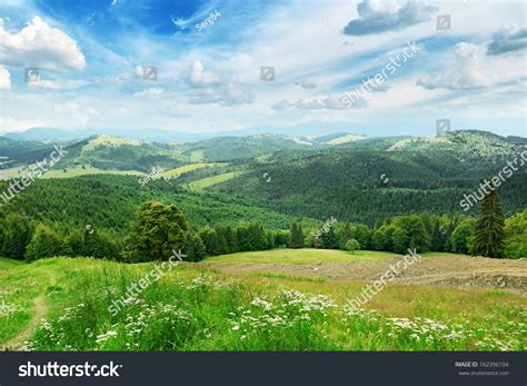 Beautiful Mountains Covered Trees Stock Photo 162396104 Shutterstock