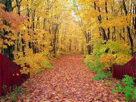 Free Download Beautiful Autumn Season Wallpapers Hd Nice Wallpapers