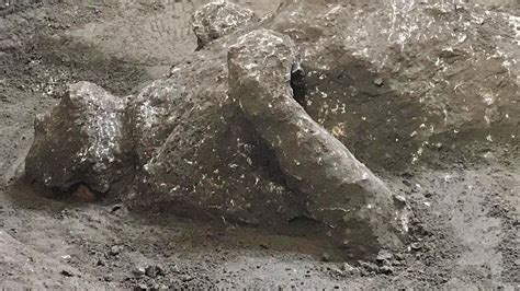 Pompeii Eruption Remains Discovered In Ancient Ruins World News Sky