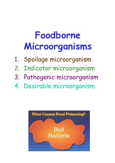 Pdf Foodborne Microorganisms 1 Spoilage Microorganism 2 Indicator