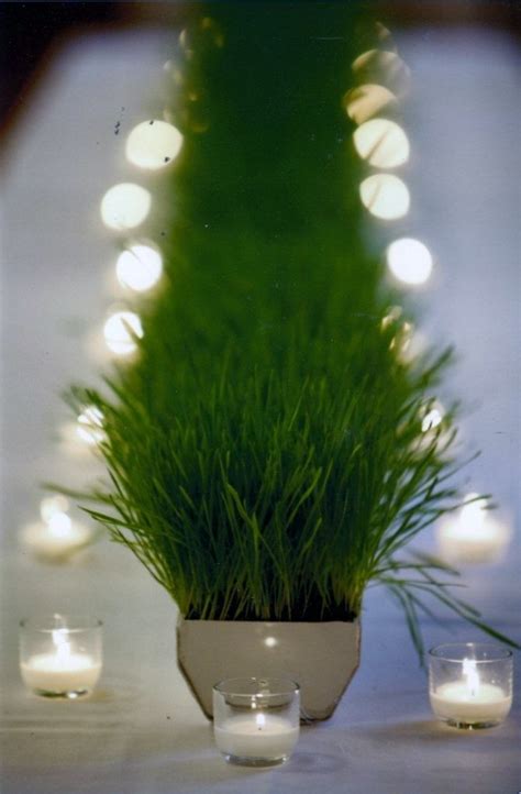 Wheat Grass In Gutter Centerpiece Party Time Excellent