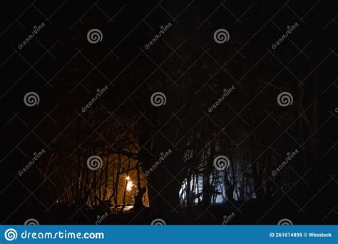 Spooky Forest With Crooked Trees At Night Illuminated By Lanterns Stock