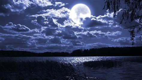 Full Moon Night Landscape With Forest Lake Stock Footage Video