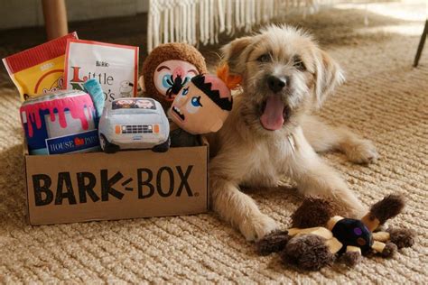 Why Youll Love Barkbox The Monthly Dog Toy And Treat Box Deals Spike