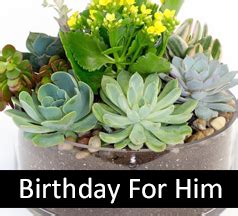 Send roses, tulips, sunflowers, orchids, gift baskets, and more. Birthday Flowers - Flowers For Men, Birthday Flowers For ...