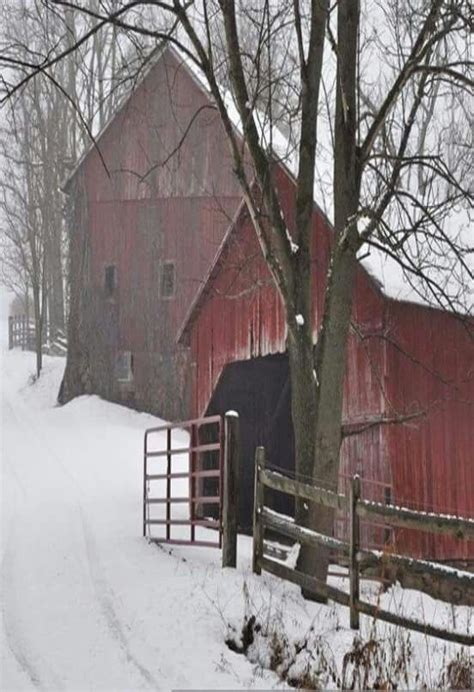 Old Red Barns In Snow Old Barns Country Barns Barn Pictures