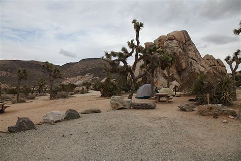 Ryan Campground Joshua Tree National Park