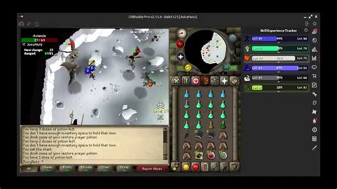 Like other creatures within the dungeon, they can be found fighting for their god armadyl, engaging in combat against the followers of zamorak. OSRS GUIDE WILDERNESS AVIANSIES #3 BAR HUNTING - YouTube