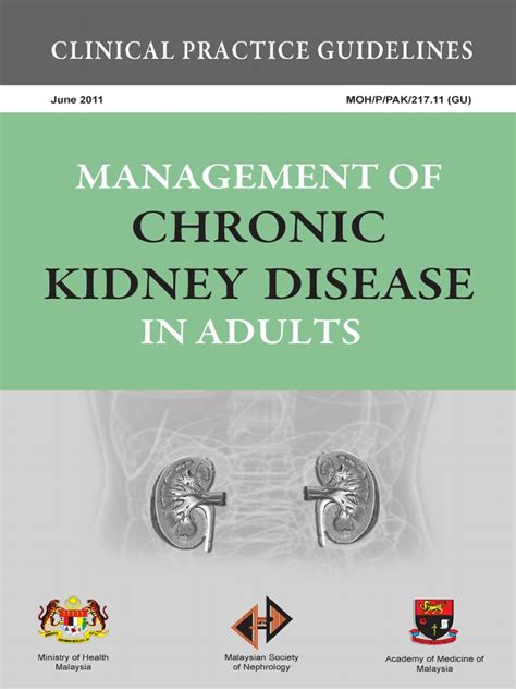 Chronic kidney disease (ckd) is one of the most frequent complications arising from diabetes and is an independent risk factor of cardiovascular disease. ckd cpg | Chronic Kidney Disease | Renal Function
