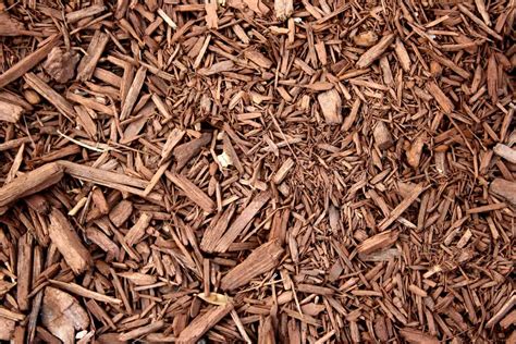 Wood Chips Make The Best Organic Mulch ⋆ Big Blog Of Gardening