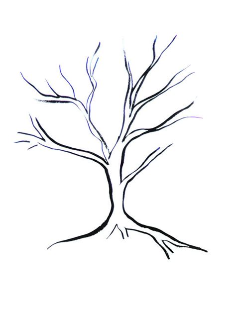 Lets draw a nice tree in this step by step drawing tutorial. A family tree art project in three easy steps - Chatelaine