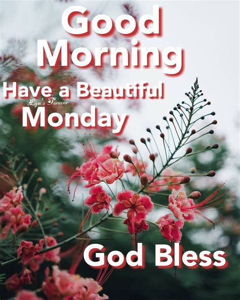 Top 999 Good Morning Monday God Images Amazing Collection Good