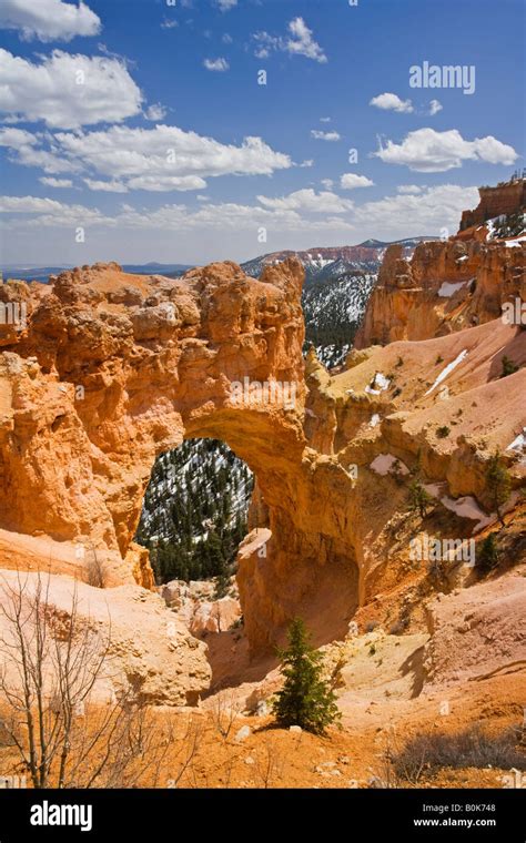 Natural Bridge Formation In Bryce Canyon National Park Stock Photo Alamy