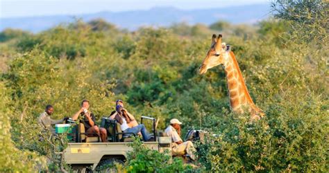 Popular Botswana Tours And Safaris By Siyabona Africa