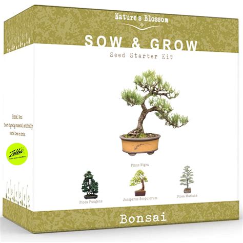 Natures Blossom Bonsai Tree Kit Grow 4 Types Of Bonsai Trees From