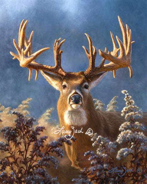 Sieck Buck Portrait Larry Zach Wildlife Art