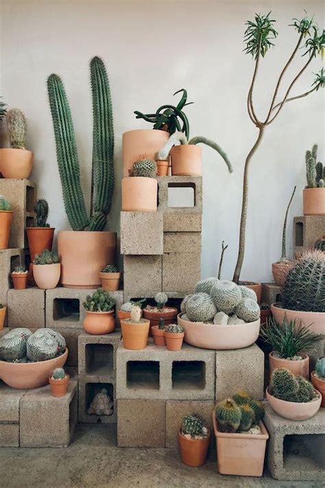 We have a rule regarding nursery posts we want to make sure you're aware of! 50 Spectacular Container Gardening Ideas | Cactus de ...