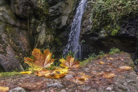 Autumn Waterfall Scenery With Fallen Leaves And Beautiful Fall Colors