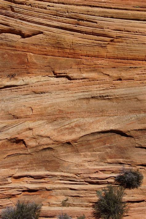 Detail Cross Current Layers Of Red Sandstone Stock Photo Image Of