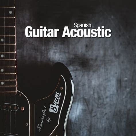 Spanish Guitar Acoustic Album By Fermin Spanish Guitar Spotify