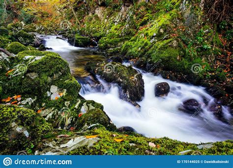 Cascades On A Mountain Stream With Mossy Rocks In Tollymore Forest Park