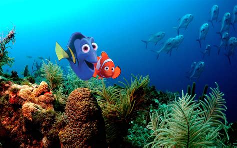 73 Finding Nemo Backgrounds