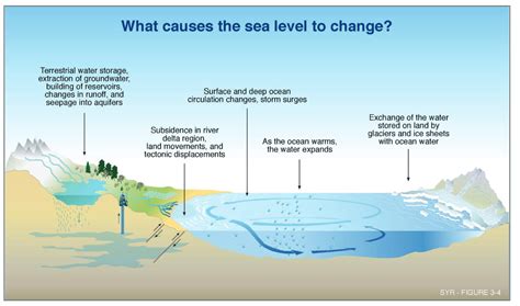 Rising Sea Levels Vector Illustration Infographic Sci