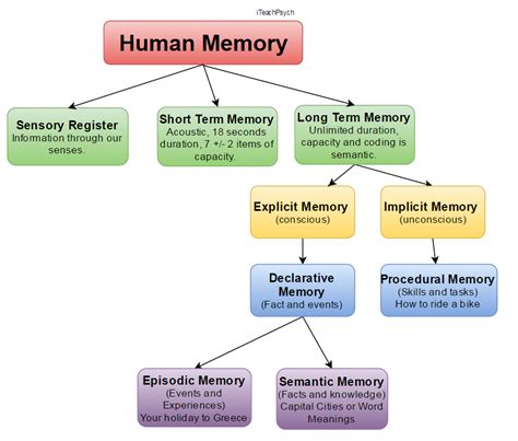 Iteachpsych Human Memory Memory Psychology Human Behavior Psychology