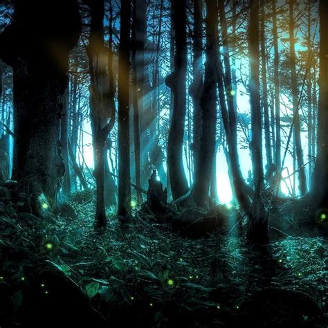Mystic Forest Wallpaper Engine Download Wallpaper Engine Wallpapers Free