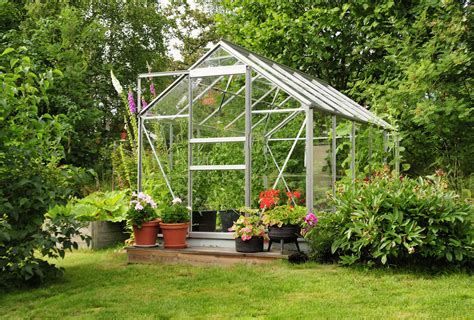 The Best Vegetables To Grow In A Greenhouse Food Gardening Network