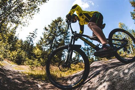 Best Budget Mountain Bikes Top 6 Picks For All Terrain Riding 2023