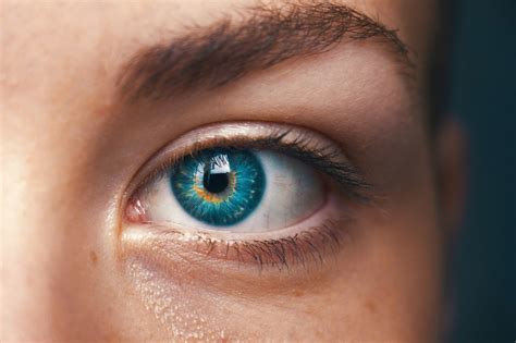 Best Ways To Describe Eye Color In Writing Online Spellcheck Blog