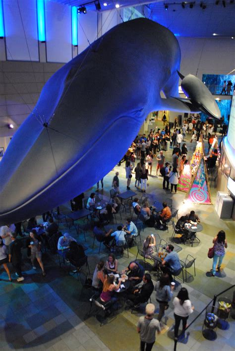 Dec 31 | 'New Year’s Eve Night Dive' 2022: Aquarium Of Pacific, Long