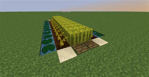 Automatic Melon Farm Minecraft Project