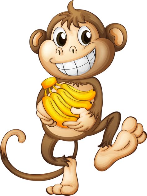 Singespngtubes Фотографии обезьян Рисунок обезьяны Веселые обезьяны