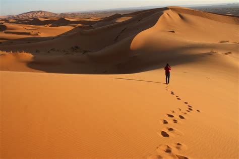 5 Maravillosos Desiertos Que Merece La Pena Visitar Mi Viaje