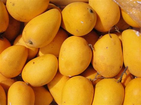 Mangoes Arrive In Hyderabad Markets