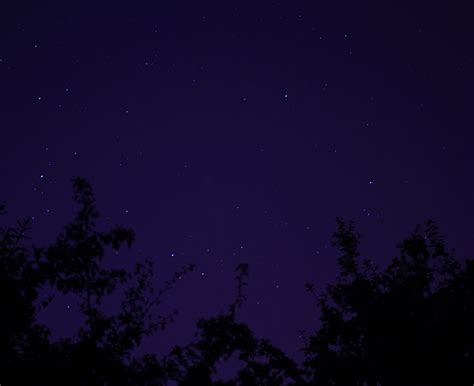 Night Sky Full Of Stars