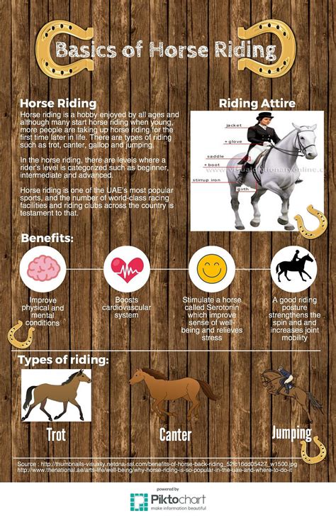 Facts Advices And Basics Of Horse Riding By Maryam Alshamsi Medium