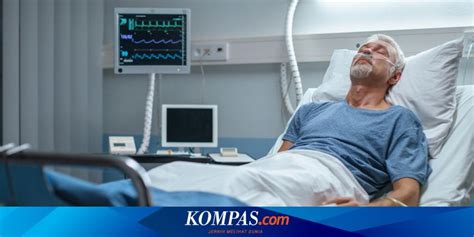 Viral, gadis sma posting foto 'tak biasa' di facebook, ada cairan kental di wajahnya. Berita Harian Virus-corona-di-Indonesia Terbaru Hari Ini ...