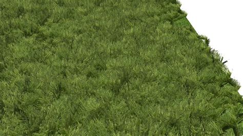 Sketchup Components 3d Warehouse Grass Grass For Everything