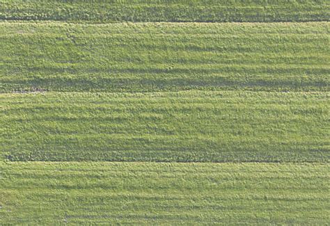 Grass0194 Free Background Texture Aerial Field Grass Ground Terrain